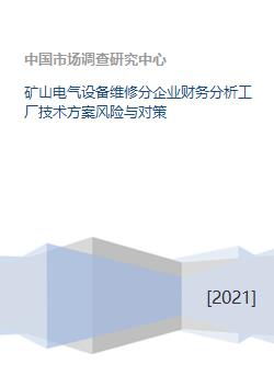 矿山电气设备维修分企业财务分析、工厂技术方案风险与对策及资本投资咨询